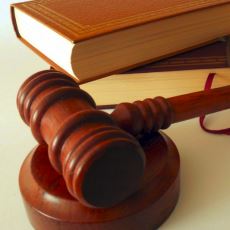 Amerika'da 95 Yıldır Hukuk Derslerinde Okutulan İlginç Olay: Tüylü Avuç İçi Davası