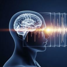 Beynin “Şimdi” Dediği An Gerçekte Kaç Saniye Sürüyor?