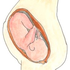 1988'de Afrika'da Oral Seks ve Bıçaklanma Sonrası Gerçekleşen Olağandışı Gebelik