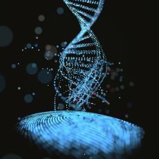Kriminal Vakaların Aydınlatılmasında Kullanılan Yöntem: DNA Parmak İzi