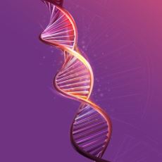 DNA'nın, 1953'teki Resmi Keşfinden Önce Yapılan ve Hiç de Hafife Alınmayacak Çalışmalar