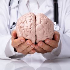 Beyin ve Sinir Cerrahisi, TUS'ta Neden En Son Sırada Yer Alıyor?