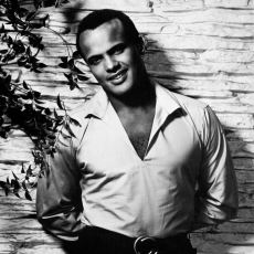 Calypso Kralı Lakabıyla Tanınan Çınar: Şarkıcı, Aktör ve Aktivist Harry Belafonte