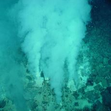 Dünya'daki Yaşamın Başladığı Düşünülen Yer: Hidrotermal Bacalar