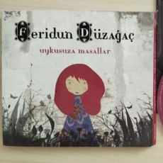 Sadece Feridun Düzağaç'ın Değil, Türk Popüler Müziğinin En İyilerinden Biri: Uykusuza Masallar