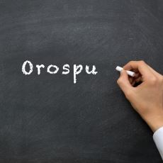 Türkçeye Anlamını Yitirerek Girmiş Bir Kelime: Orospu