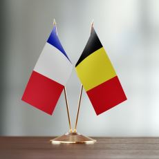 Belçika'da Son Yıllarda Fransız Kültürü Lehine Gerçekleşen Değişim