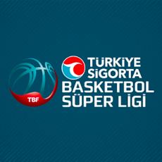 Türkiye Basketbol Ligi 2023-2024 Sezonu: Takımlar Nasıl Transferler Yaptı, Kim Ne Kadar Hazır?