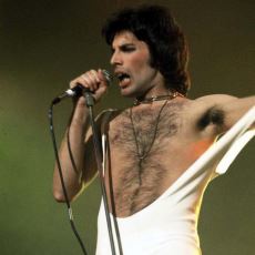 Freddie Mercury'nin Vokalinin Etkileyici Olması Altında Yatan Bilimsel Nedenler