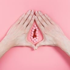 Klitorisin, Aslında Gelişimini Tamamlamamış Bir Penis Olduğu Gerçeği
