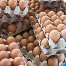 6 Yıldır Sektörde Olan Birinden: Yumurta Fiyatları Neden Çok Arttı?