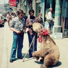 Arka Planında Bildiğin İşkence Yatan Bir Zamanların Eğlencesi: Sokakta Ayı Oynatmak