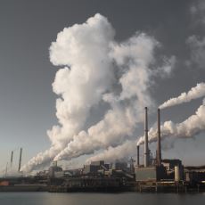 Karbondioksit Salınımı, Oksijen Üretimini Tam Olarak Nasıl Negatif Etkiliyor?