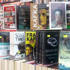 Bu Aralar Ne Okusam Diyenler İçin Yerli-Yabancı Ortaya Karışık Roman Tavsiyeleri