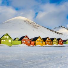 Kedi Beslemenin Yasak Olduğu Norveç Adası: Svalbard