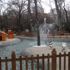 Orada Yaşayanlar İçin Ankara'daki Kuğulu Park'ın Hemen Fark Edilmeyen Anlamı