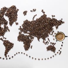 Kahve Nasıl Tüm Dünyada Popüler Bir İçecek Haline Geldi?