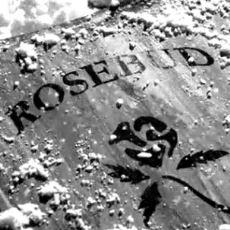 Yurttaş Kane'deki (Citizen Kane) Ünlü Rosebud Kelimesi Ne Anlama Geliyor?