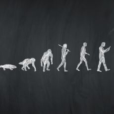 Evrim Neden Aptallığa Çare Olmadı?