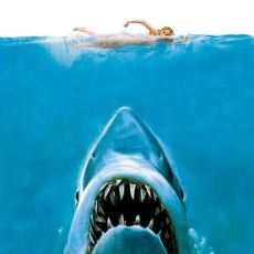 Jaws Filminin Başarılı Olmasının Ardındaki Sebepler Nelerdir?