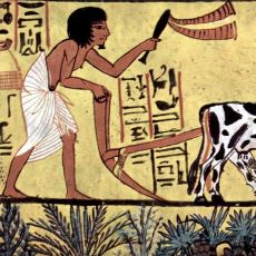 2,6 Milyon Yıl Önceden Günümüze: Dünyanın En Eski Meslekleri