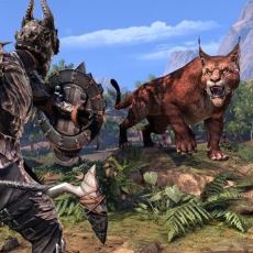 Oyuna 1700 Saat Gömen Birinden: The Elder Scrolls Online Oynayacaklara Tavsiyeler