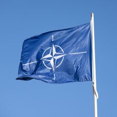 Nato Kafa Nato Mermer Deyimi, Bildiğimiz NATO'dan mı Geliyor?