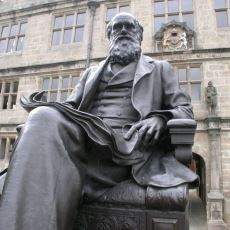 Charles Darwin'in Evrim Konusunda Haklı ve Haksız Çıktığı Şeyler