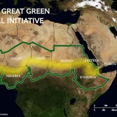 Afrika Ormanlarını Kurtarmak İçin Planlanan Doğa Projesi: Büyük Yeşil Duvar