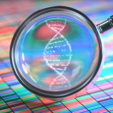 DNA Dizisindeki Bazları Görmeye Olanak Sağlayan DNA Dizileme Yöntemleri