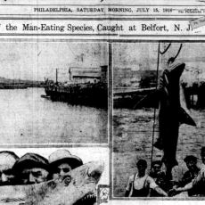 Köpek Balıklarına Bakış Açısını Kökünden Değiştiren Olay: 1916 New Jersey Saldırıları