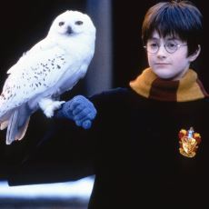 Harry Potter'ın Ünlü Hedwig's Theme Şarkısına Hayat Veren Enstrüman: Çelesta