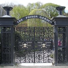 Düşes Jane Percy'nin Zehirli Bitkilerden Kurduğu Acayip Bahçe: The Alnwick Garden