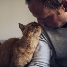 Kedi Sahiplerinin Diğer İnsanlara Göre Gündelik Yaşamda Çok Daha Dikkat Etmesi Gereken Şeyler