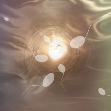 Yumurta Döllendiği Anda Ciddi Ciddi Bir Işık Parlaması Yaşanması: Zinc Spark