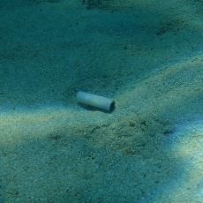 Denize Atılan Bir Sigara İzmariti Doğaya Ne Kadar Zarar Veriyor?