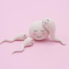 Meni ile Sperm Arasındaki Fark Nedir?