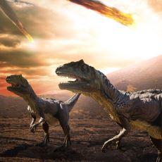 Dinozorlar Neden ve Ne Zaman Yok Oldu?