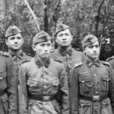 İkinci Dünya Savaşı'nda Nazi Saflarında Savaşan Türk Kökenli Birlikler