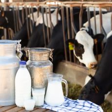 Sektörün İçinden Biri Anlatıyor: Süt Zammı Piyasayı Nasıl Etkileyecek?