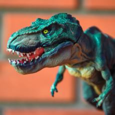 T-Rex Gibi Heybetli Bir Yaratığın Neden Vücuduna Oranla Minicik Kolları Vardı?