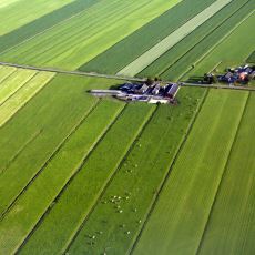Konya Büyüklüğündeki Hollanda, Nasıl Oldu da Avrupa'nın En Büyük Tarım Ülkesi Oldu?