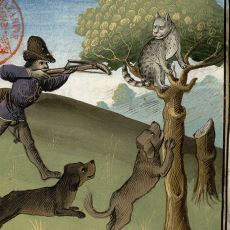 Orta Çağ Avrupa'sında Kedilerin Öldüresiye Dövülerek Yakıldığı Sistematik Katliam