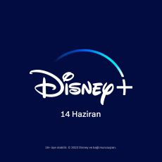 Disney+ Platformunda Yer Alan ve İlk Bakışta Göremeyeceğiniz Kaliteli Filmler