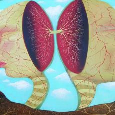 İnsanın Bildiklerini Temelden Sarsan Tıbbi Gerçeklik: Ayrık Beyin Deneyleri