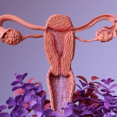 Erkeklerdeki Penisin Kadınlardaki Karşılığı: Klitoris