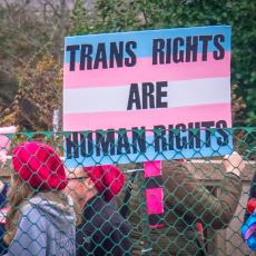 Cinsiyet Kimliği ile Atanan Cinsiyeti Farklı Olan Kişileri Tanımlayan Kavram: Transgender