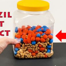 Kavanozu Sallayınca Neden Hep En Büyük Kuruyemiş Üste Çıkar?