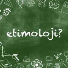 Etimoloji Kelimesinin Etimolojik Kökeni Nedir?