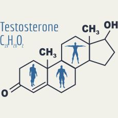 Dünyayı Yöneten Hormon Testosteron ile İlgili İlginç Bilgiler
